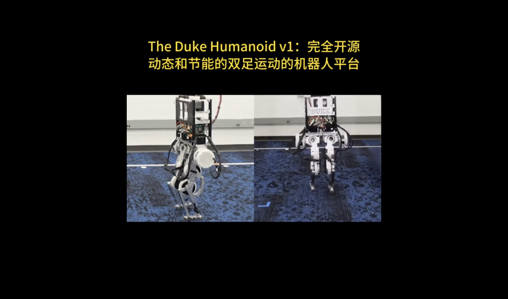 极深®数据